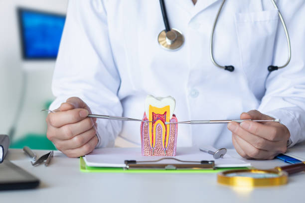 Best Broken or Chipped Tooth Repair in Northville, MI